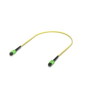 Ubiquiti-UACC-OFC-SA-MPMP-0.5M-Ubiquiti OS2 MPO-12 APC Fiber Patch Cable